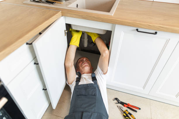 istockphoto 1533988706 612x612