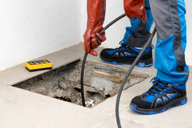 istockphoto 2177956246 612x612