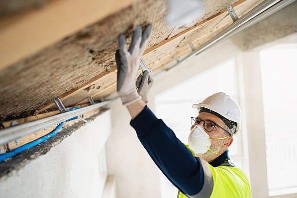 istockphoto 2210519234 612x612
